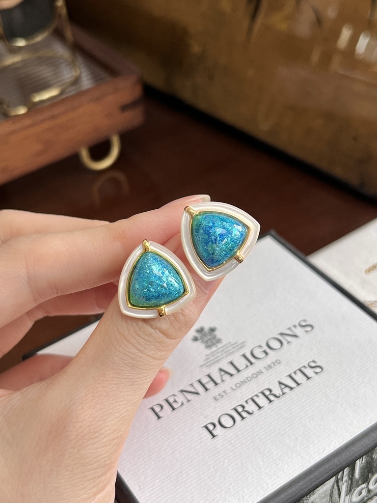 Sliver enamel earrings 