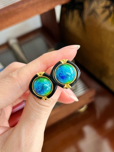 Sliver enamel earrings 