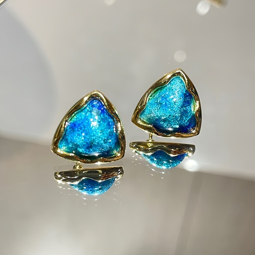 Sliver enamel earrings 